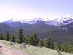 IMG_1511.JPG