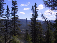 IMG_1512.JPG