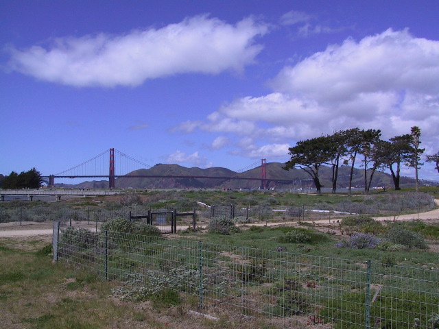 GG Bridge I