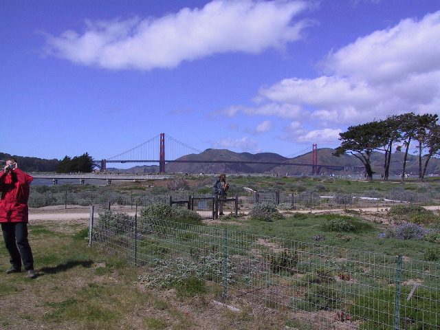 GG Bridge II