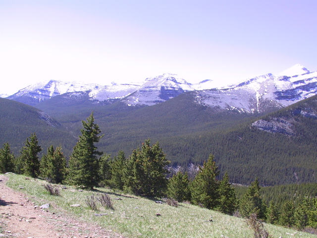 IMG_1511.JPG